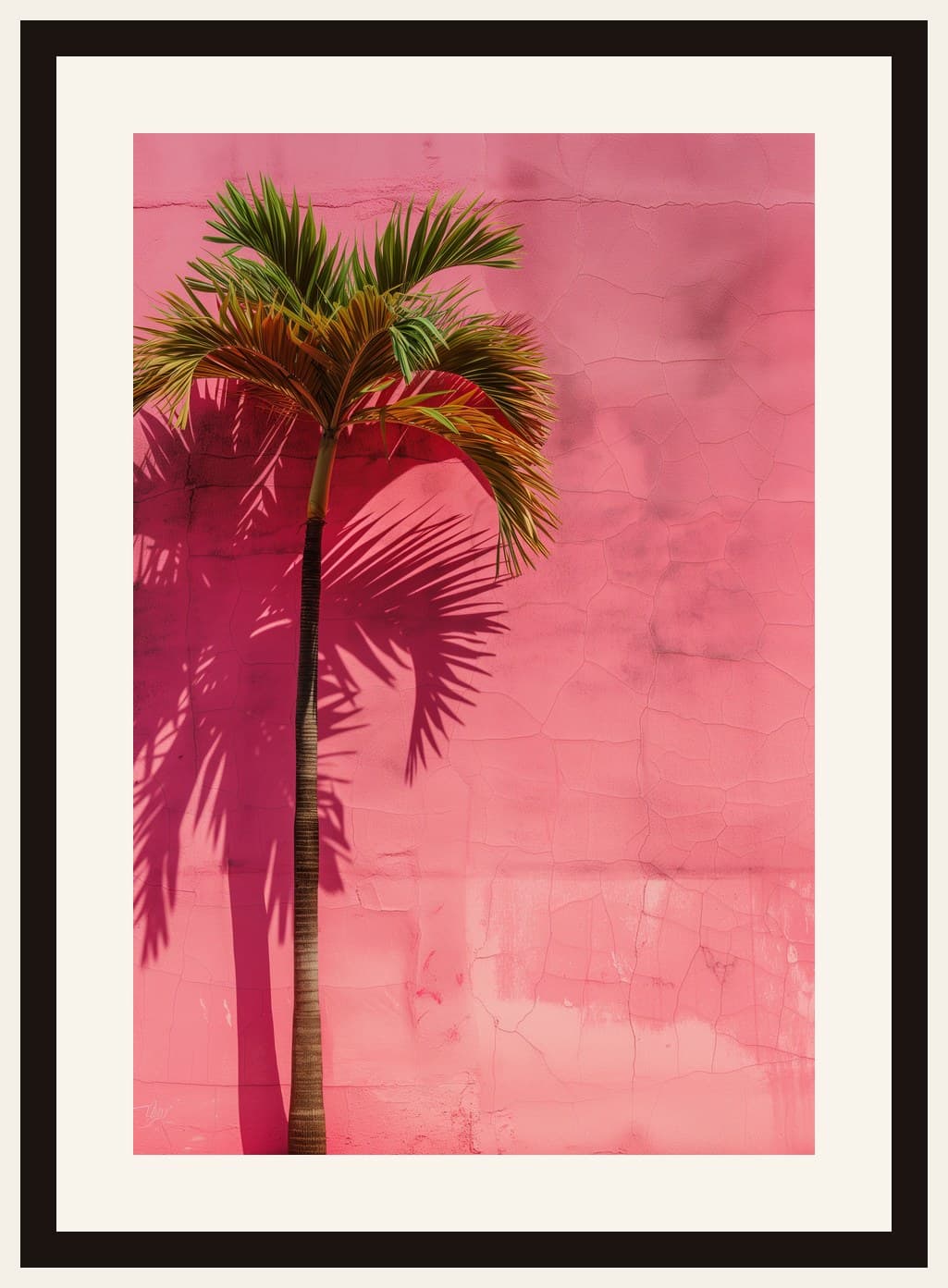 Palm Tree Against Pink Cracked Wall