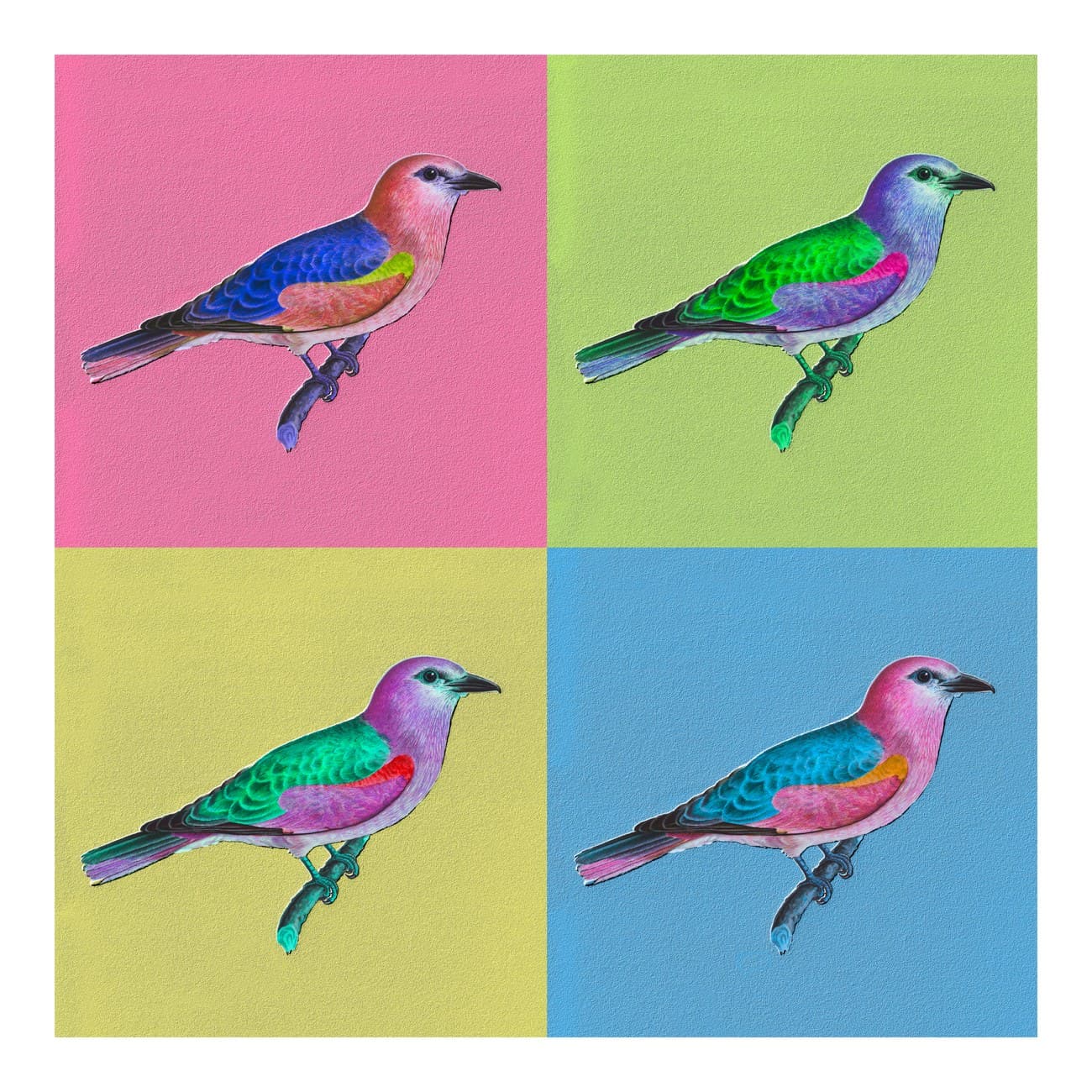 Colourful Bird Four-Panel Pop Art Grid