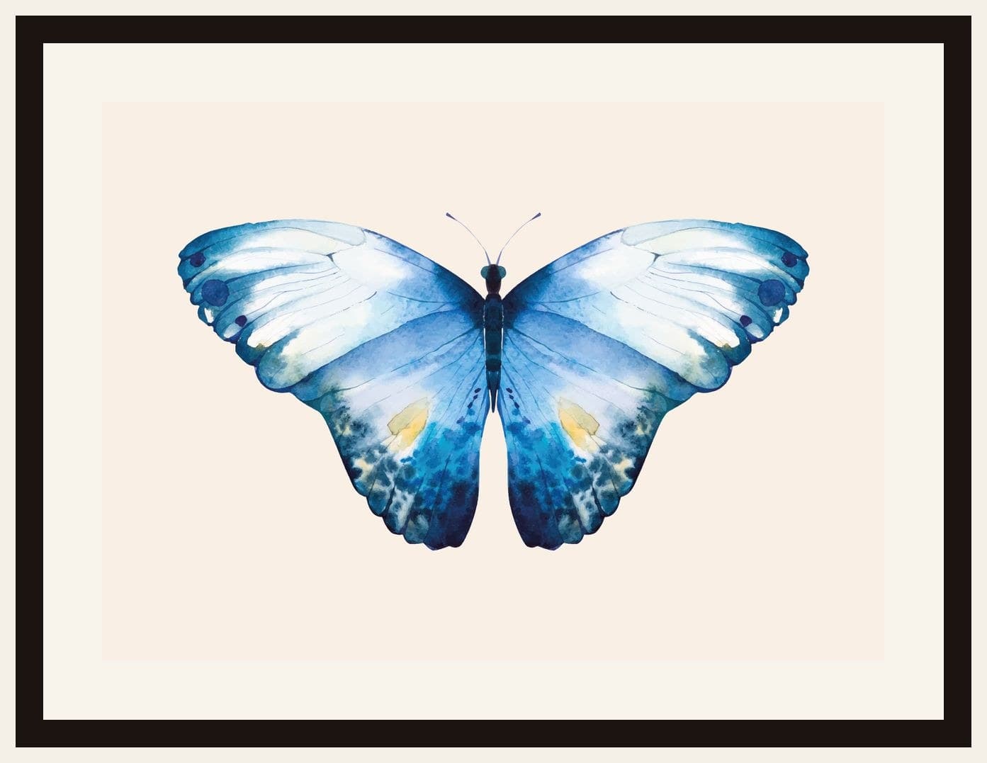 Blue Morpho Butterfly Watercolour Cream