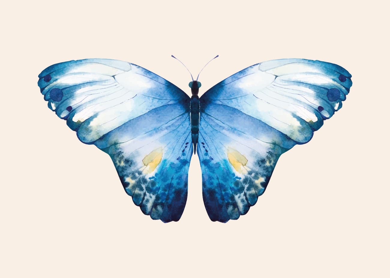 Blue Morpho Butterfly Watercolour Cream