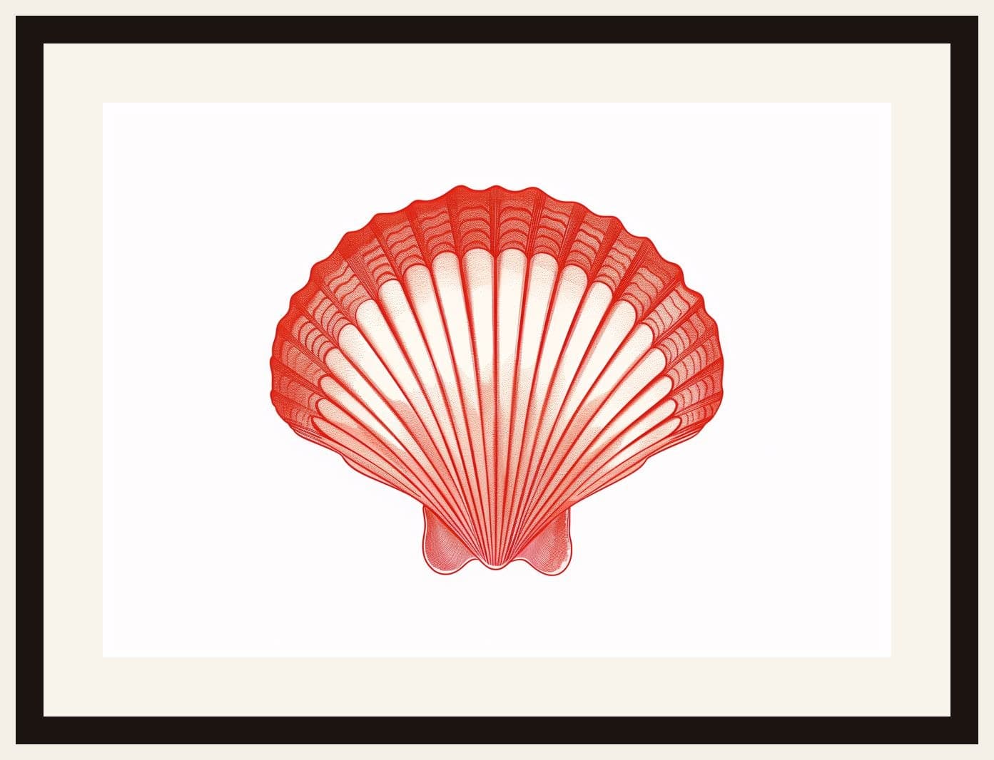 Red Scallop Seashell Illustration