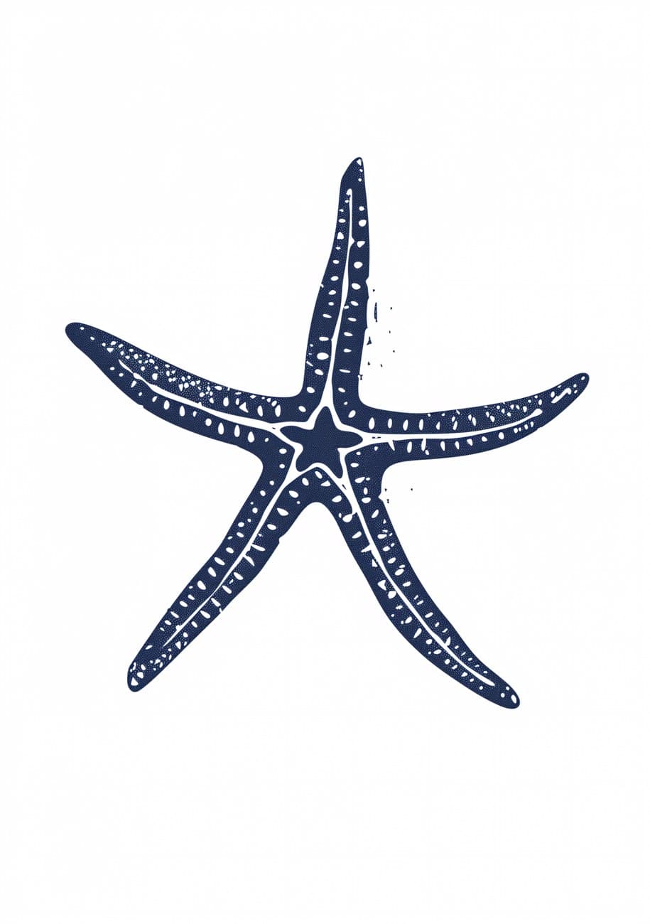 Navy Blue Starfish Illustration White Ground