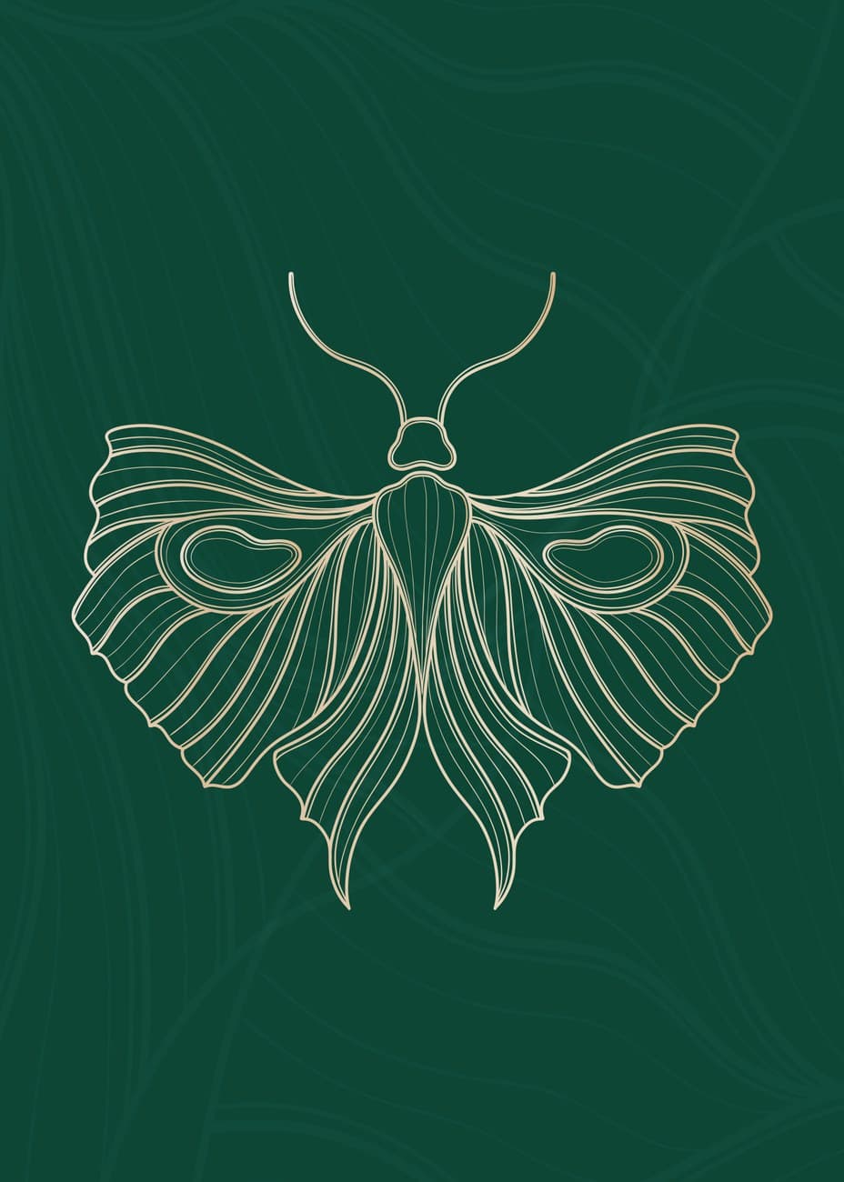 Gold Line Art Moth On Green
