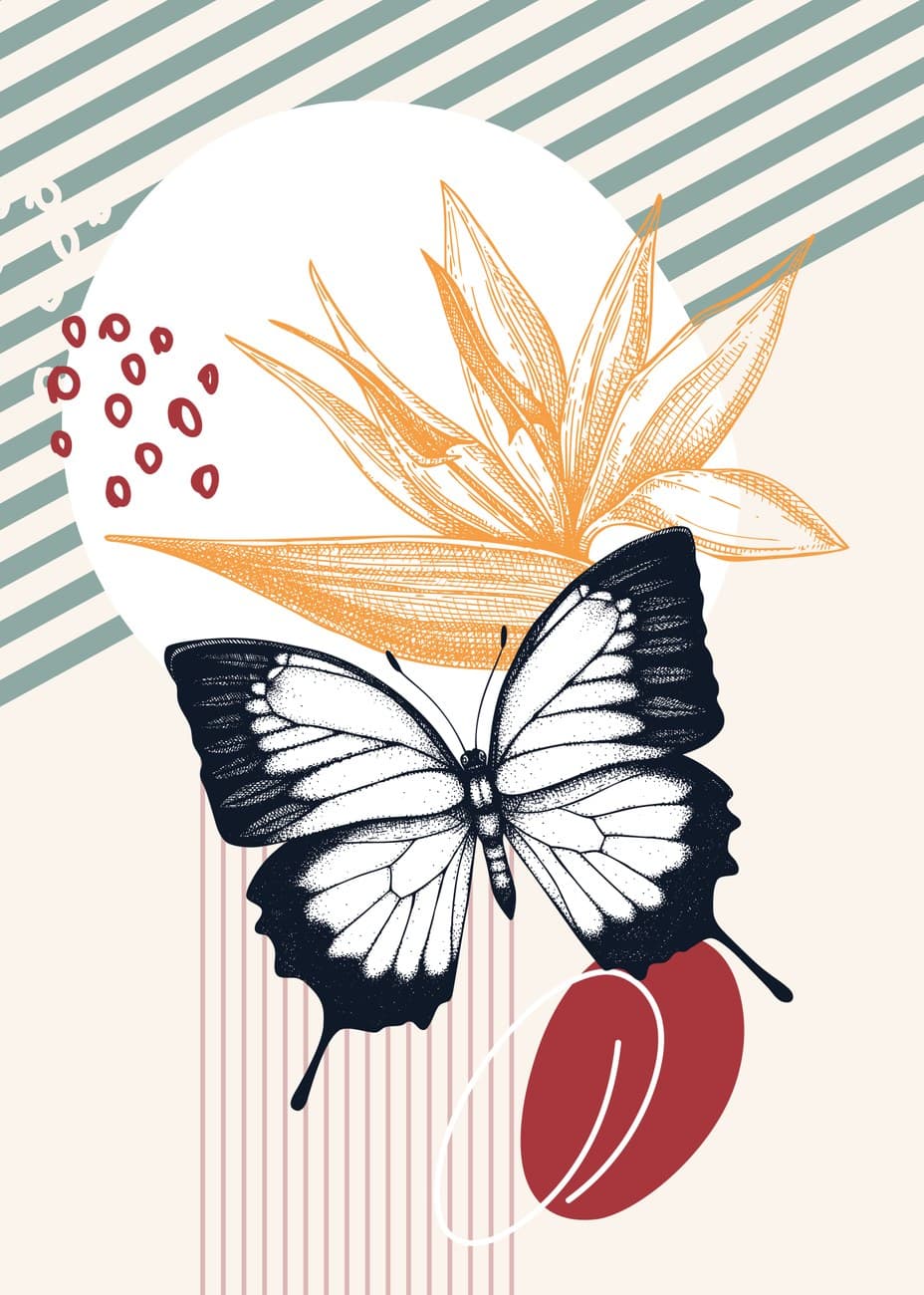 Butterfly Botanical Boho Collage