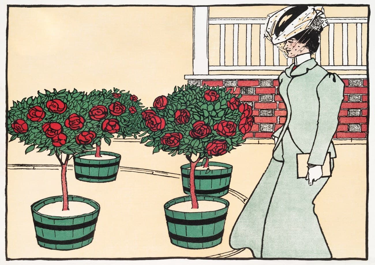 Roses In Bloom