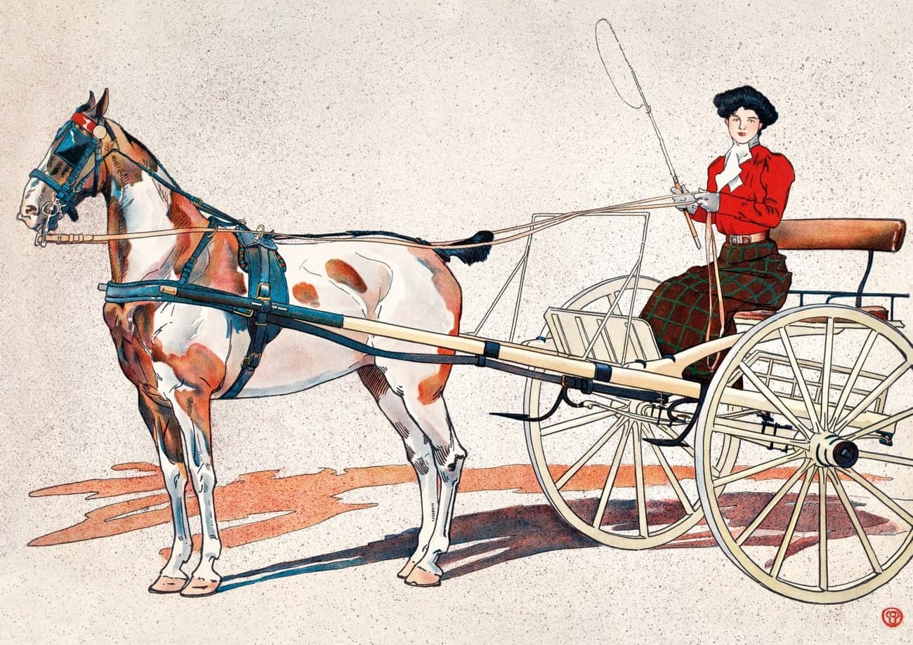 Equestrian Elegance