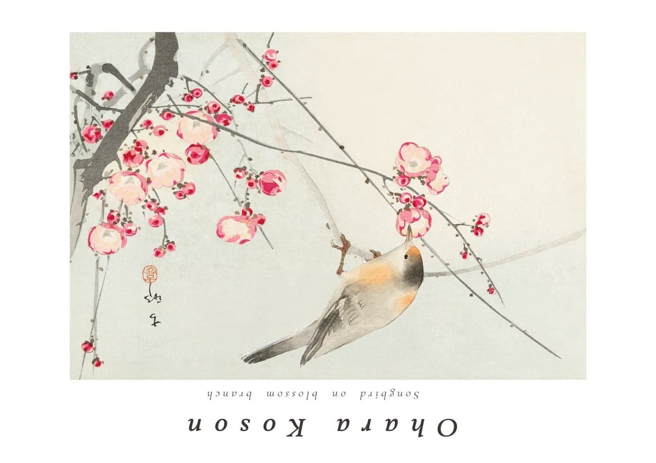 Blossom And Bird