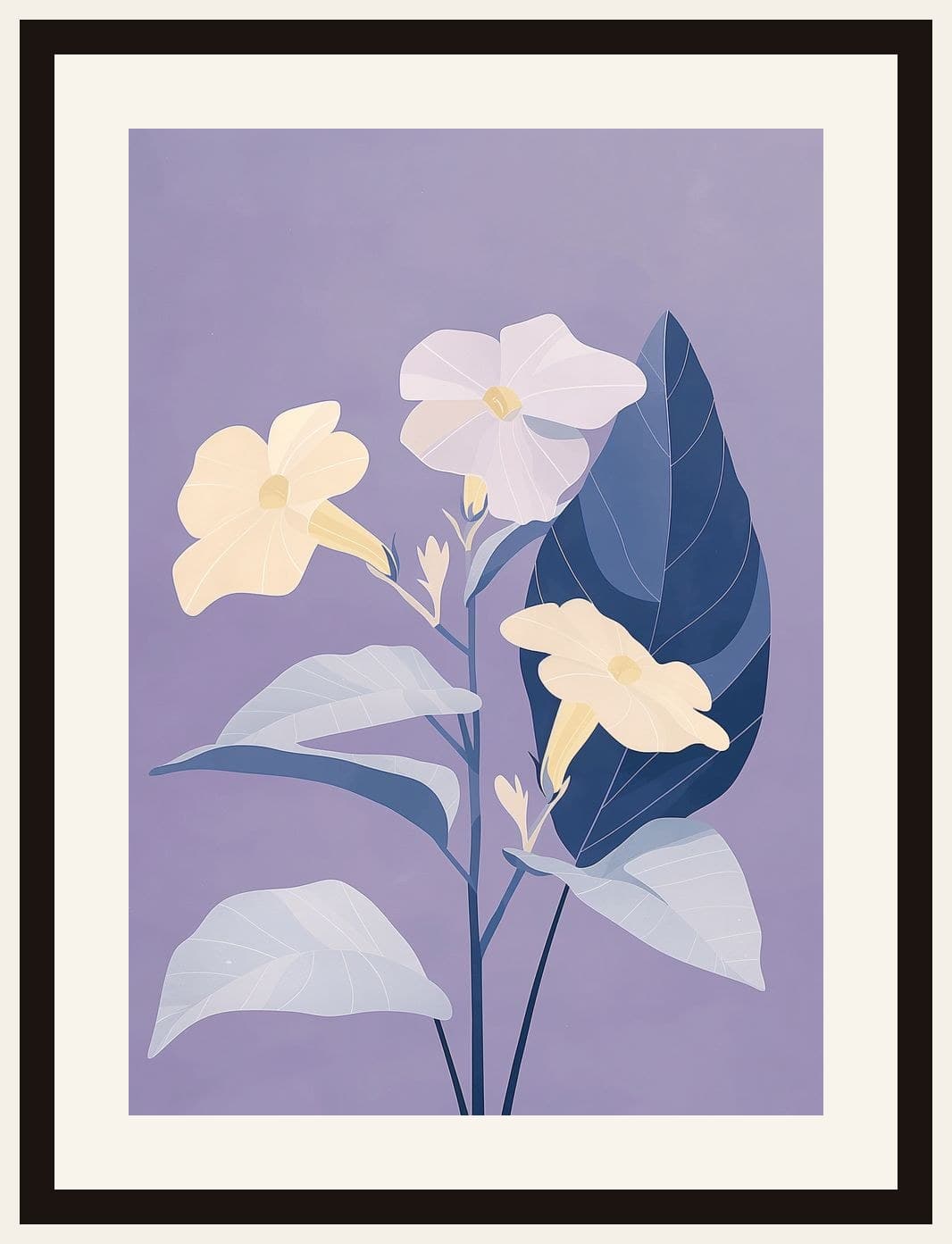 White Petunia Flowers Purple Background