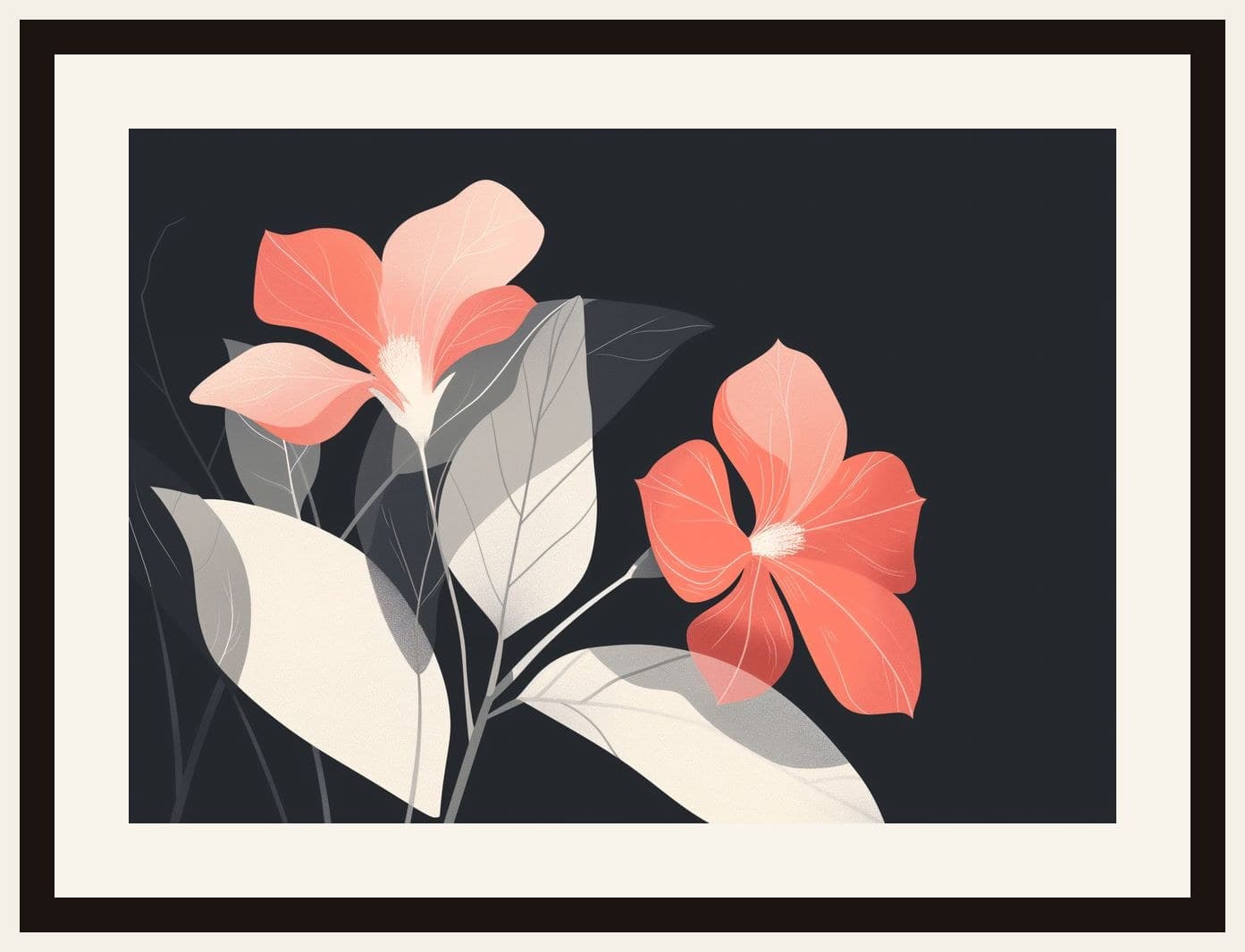 Coral Hibiscus Blooms Dark Background