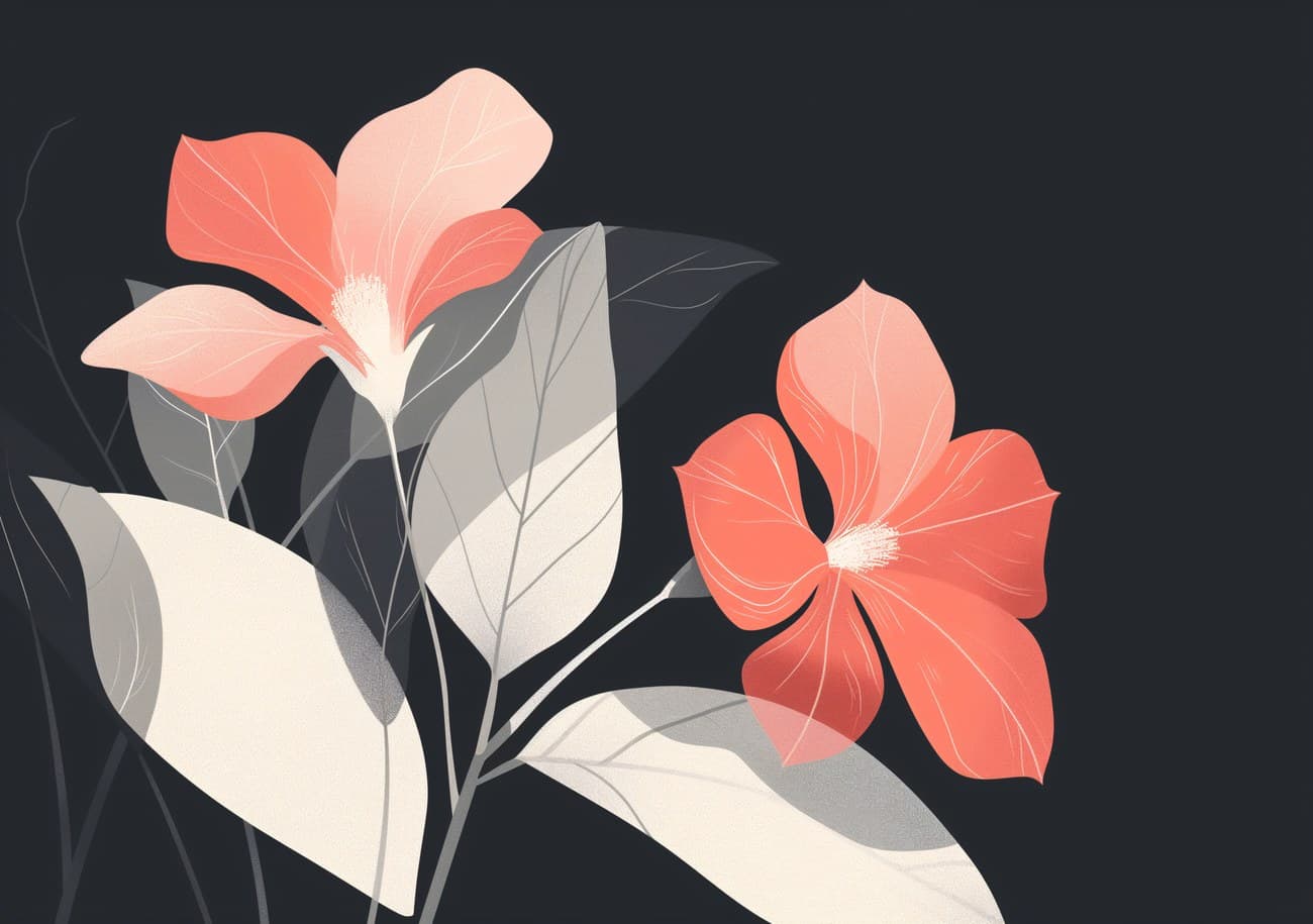 Coral Hibiscus Blooms Dark Background