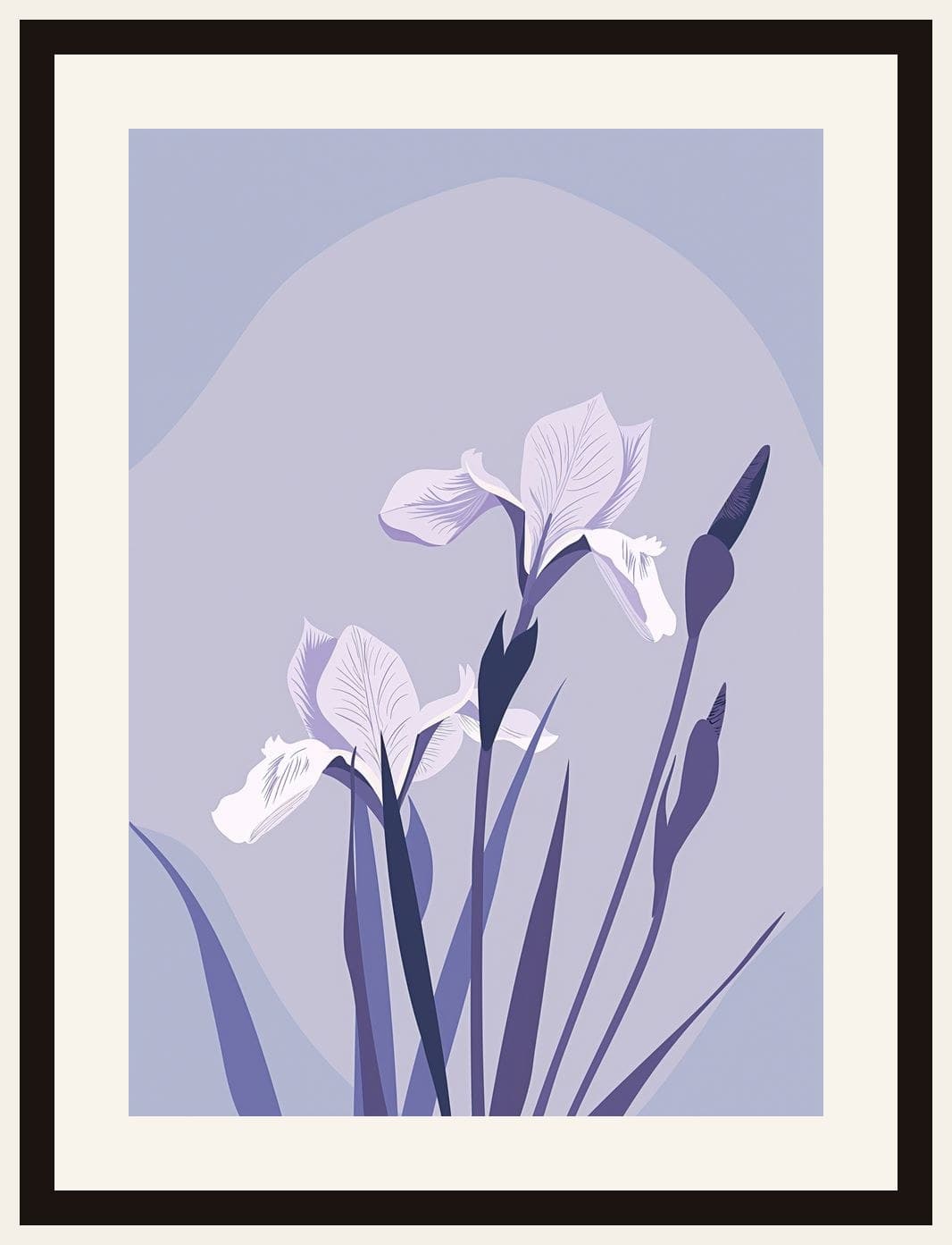 Purple Iris Flowers Arched Lavender Background
