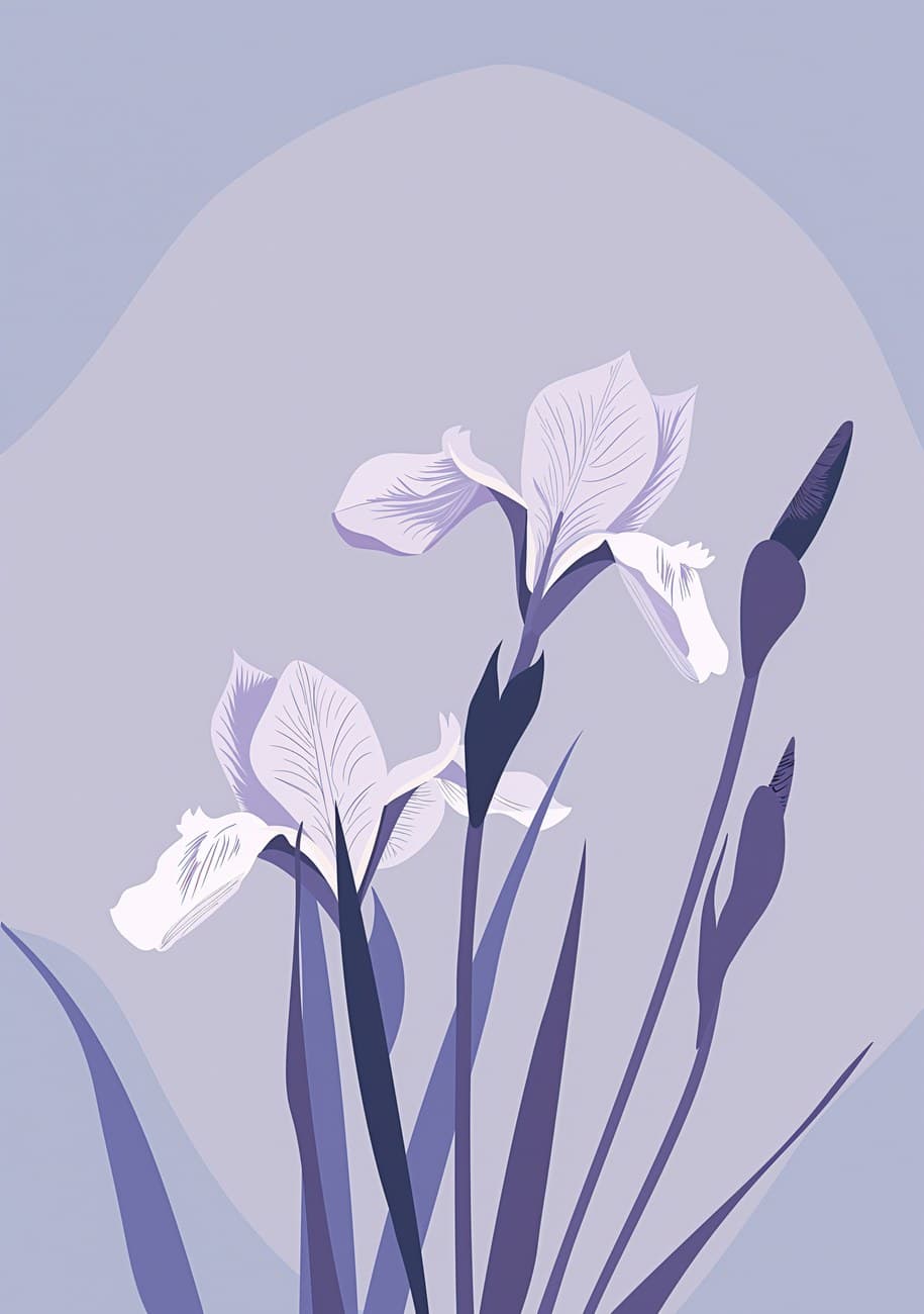 Purple Iris Flowers Arched Lavender Background