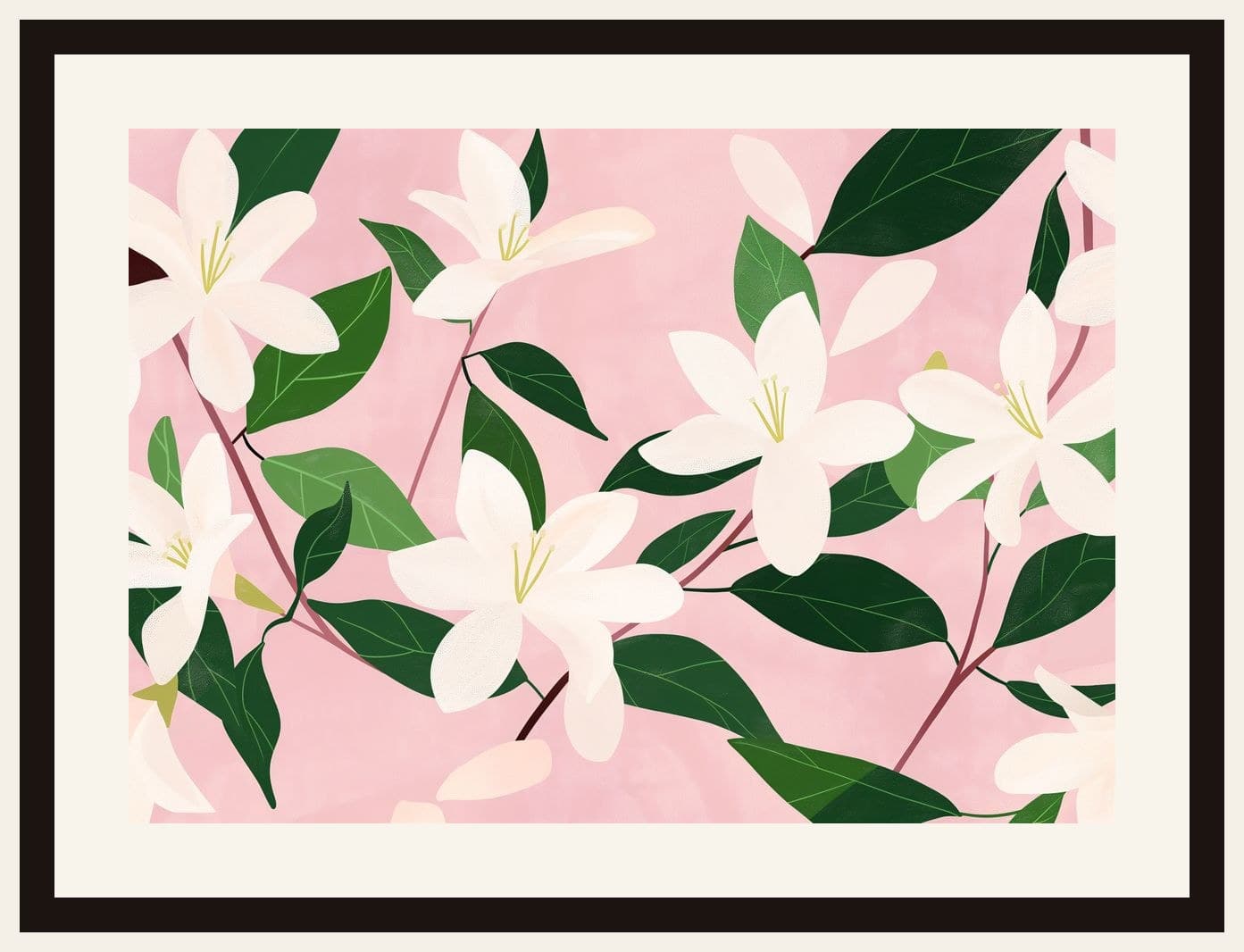 White Magnolia Blossoms Pink Background