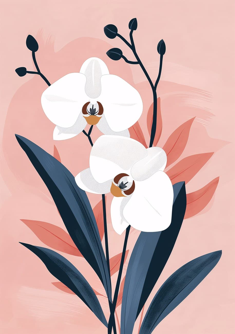 White Orchids Pink Botanical Illustration