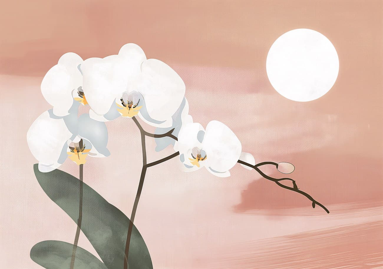 White Orchid Branch Pink Sunset Minimal