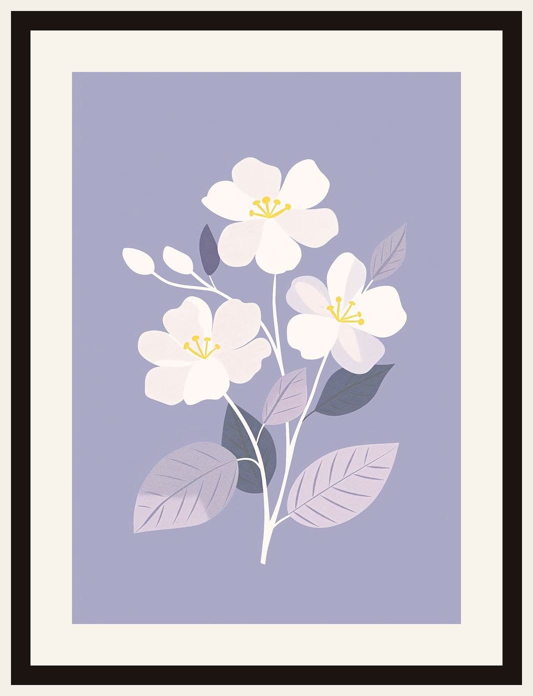 White Jasmine Flowers Lavender Background