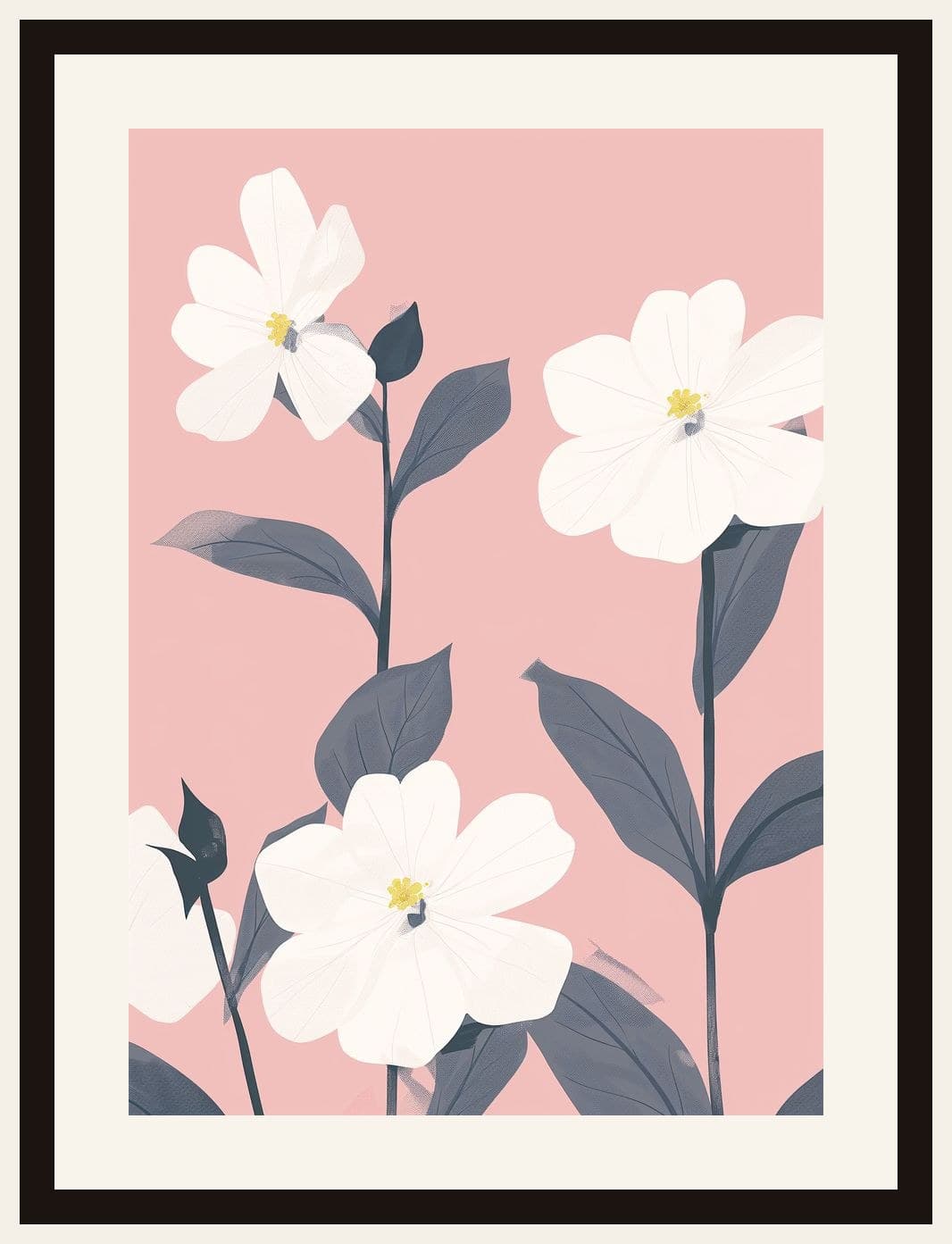 White Blooms Pink Background Minimal