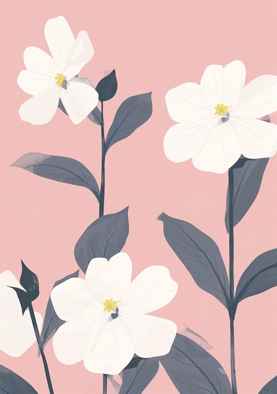 White Blooms Pink Background Minimal