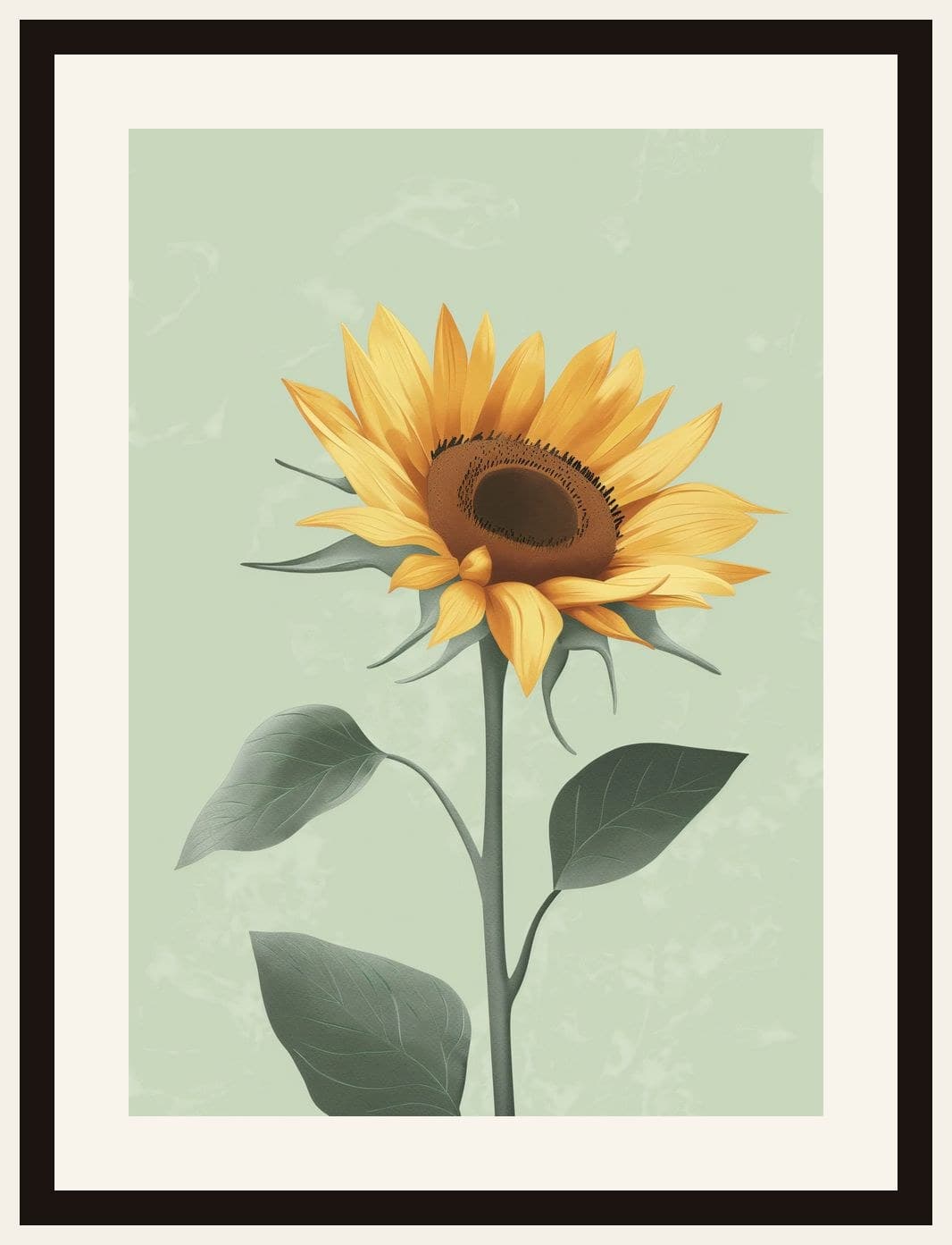 Single Sunflower Mint Green Background