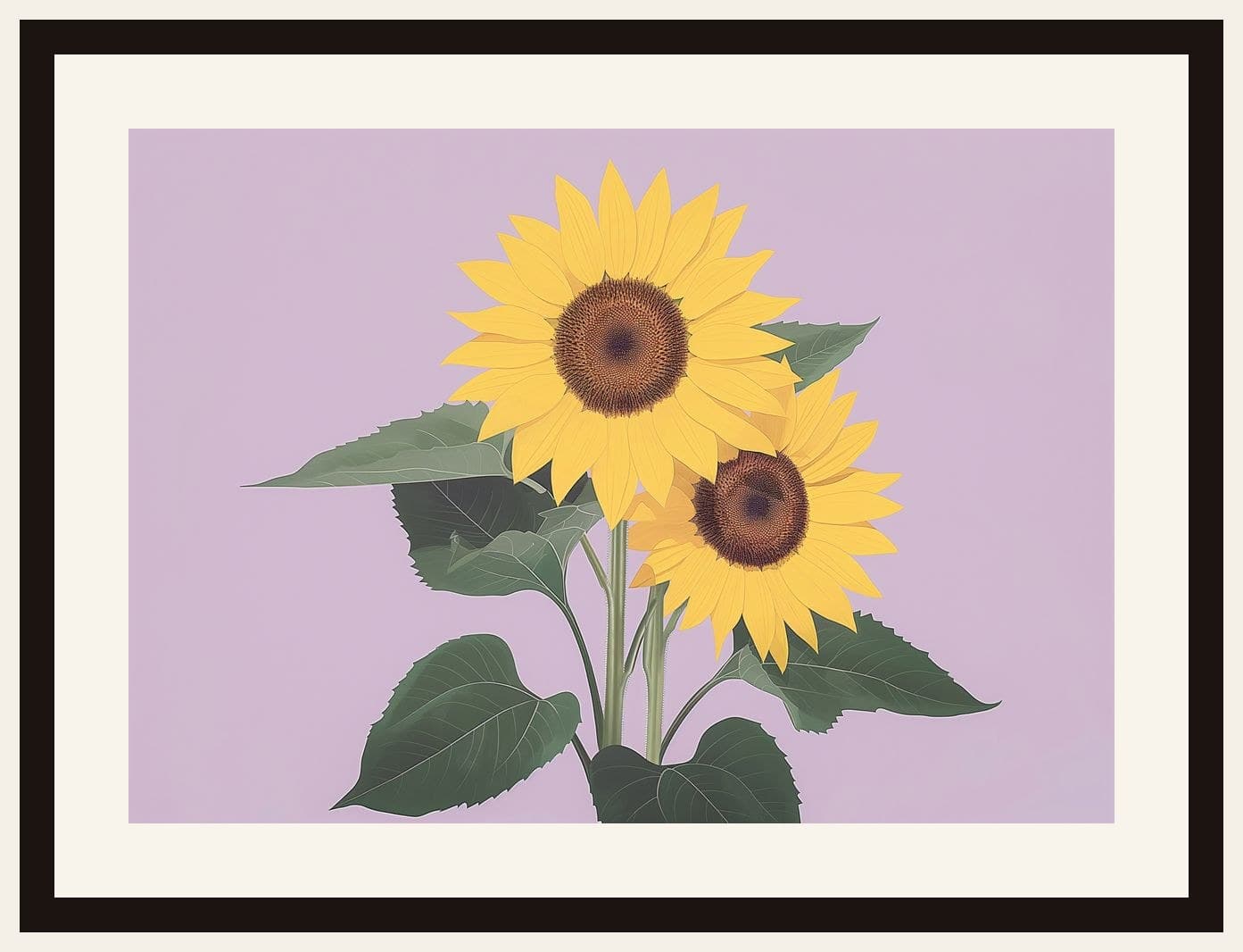 Two Sunflowers Lavender Background Minimal