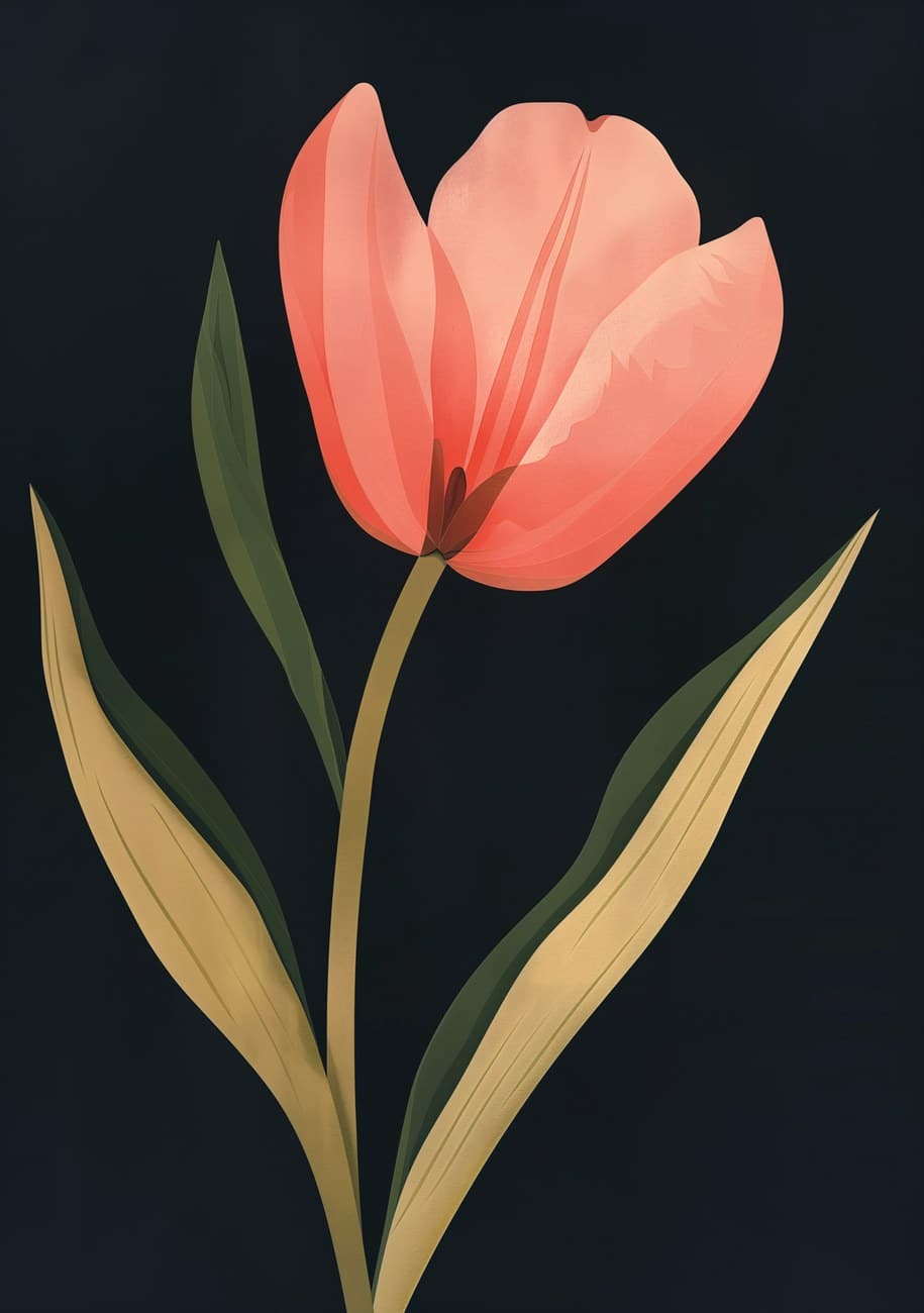 Single Pink Tulip Dark Background