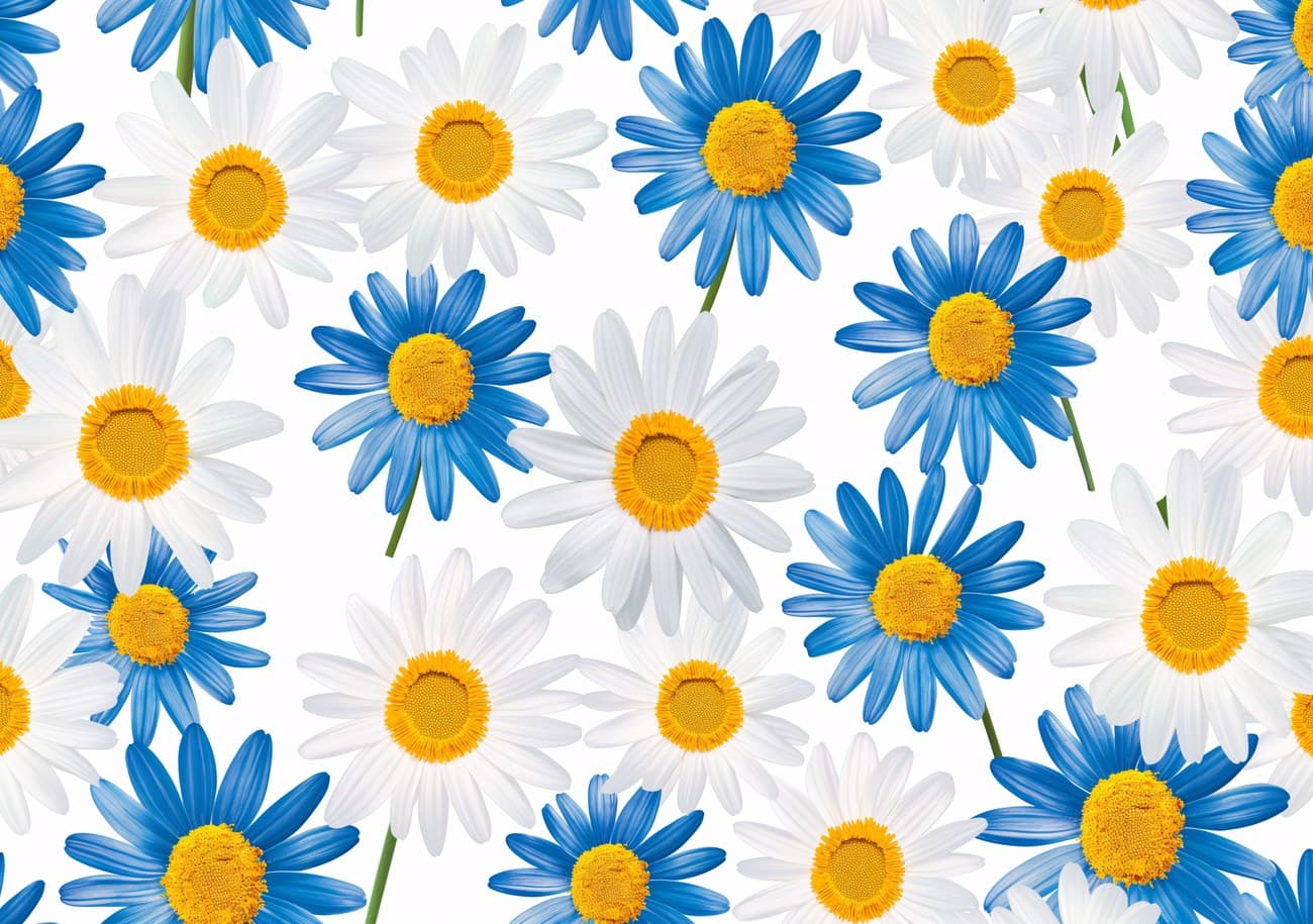 Blue And White Daisies Pattern