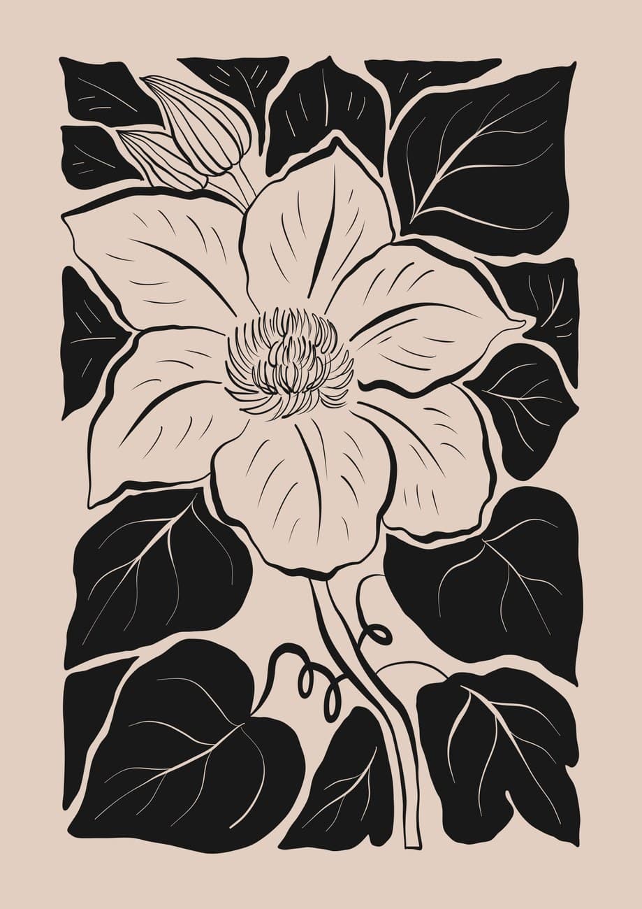 Black Beige Clematis Flower Linework